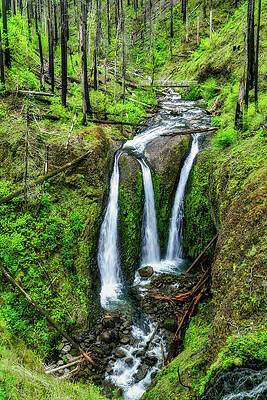 Serene Forest Waterfall Scene Photograph