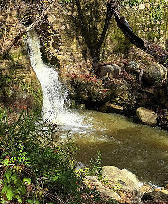 Serene Waterfall by Mossy Wall Photograph