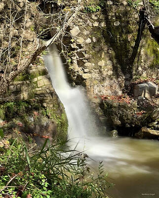 Serene Woodland Waterfall Photograph