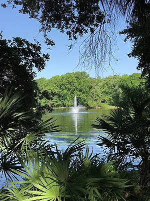 Tree Wall Art featuring the photograph Serenity 2 by Doreen Rosselli