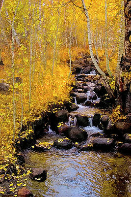 Waterfall Photograph - Serenity by Barbara Siegel