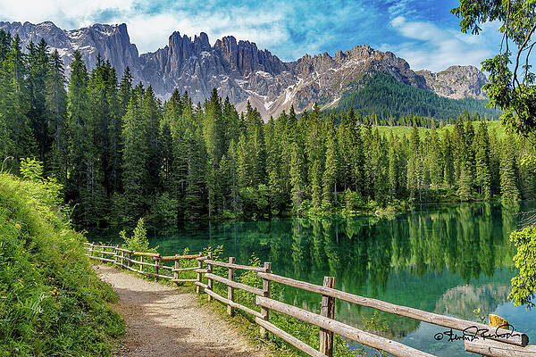 Mountain Lake with Forest Path Photograph