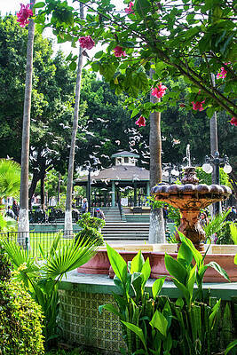 Mexico Photograph - Serenity In TJ by William Scott Koenig