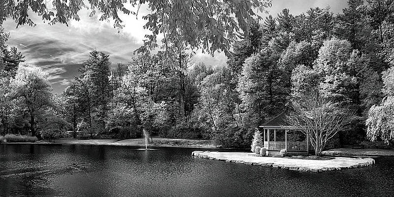 Wall Art featuring the photograph Serenity by Maryanne Keeling