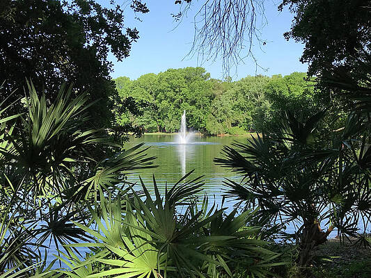 Pretty Photograph - Serenity  #1 by Doreen Rosselli