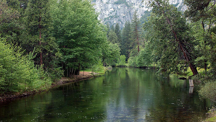 Water Photograph - Serenity On The Merced River, Yosemite National Park, California by Bonnie Colgan