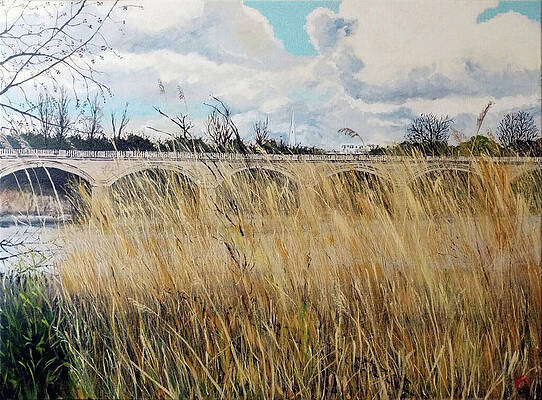 Wall Art featuring the painting Serpentine Bridge Through The Grassland Hyde Park  London by Francisco Gutierrez