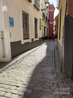 Serene Wall Art featuring the photograph Seville Spain 40 by William Norton