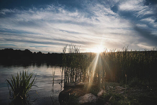 Wall Art featuring the photograph Shadow And Light On Leaser Lake by Jason Fink