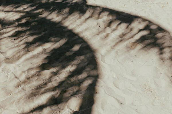 Nature Photograph - Shadow Of Paradise by Nova Rae