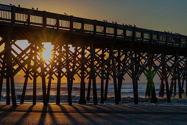 South Carolina Wall Art featuring the photograph Shadows And Silhouettes At Folly Beach Pier by Douglas Wielfaert