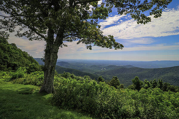 Wall Art featuring the photograph Shady Sun At Rock Castle Gorge by Deb Beausoleil