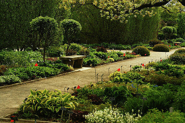 Wisconsin Photograph - Shady Sun by Deb Beausoleil