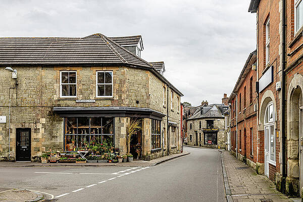 Wall Art featuring the photograph Shaftesbury by Shirley Mitchell