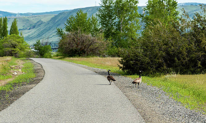 May Photograph - Share The Trail by Tom Cochran