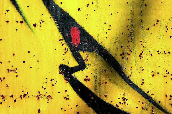 Abstract Photograph - Shark by Ursula Abresch