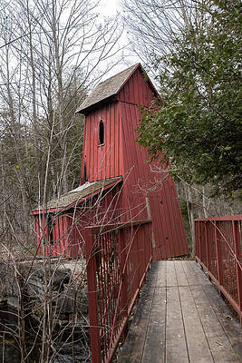Vintage Photograph - Sheave Tower In The Woods, Kitchener, Ontario 2 by John Twynam