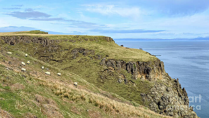 Scotland Wall Art featuring the photograph Sheep Near Lealt Falls - Isle Of Skye, Scotland by Jeff Saunders