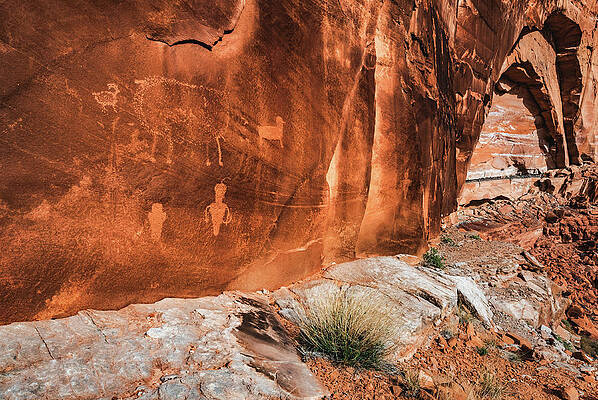 Alien Photograph - Sheep Petroglyphs At Owl Panel, Moab, Utah by Abbie Warnock