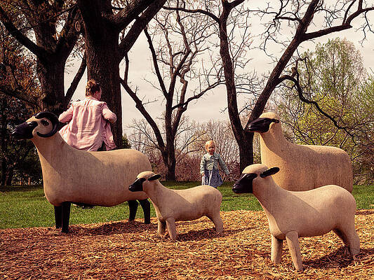 Tree Photograph - Sheep Sculptures - Missouri Botanical Garden by Robert Niemeier