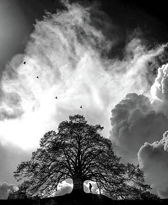 Silhouette Under Stormy Sky Photograph