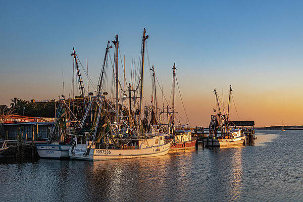 South Carolina Wall Art featuring the photograph Shem Creek Shrimp Boats by Douglas Wielfaert