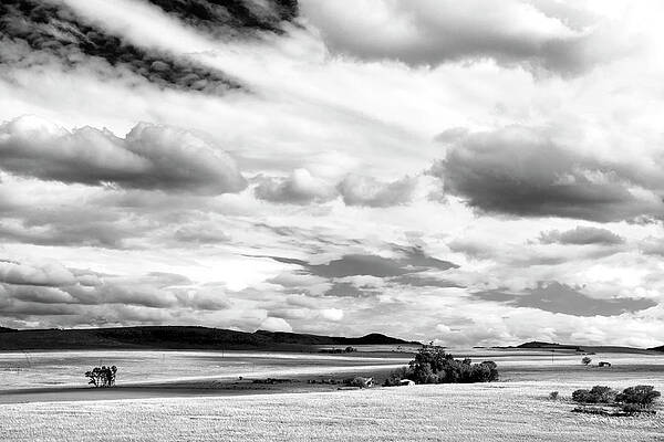 Portland Photograph - Shifting Light by Mia Badenhorst