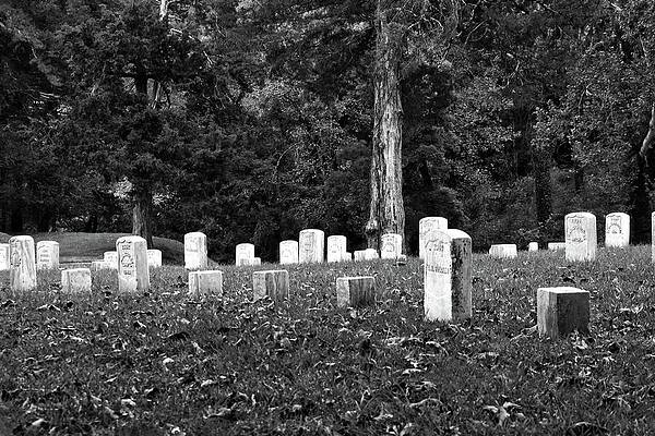 Confederate Wall Art featuring the photograph Shiloh's Eternal Brothers by American Landscapes