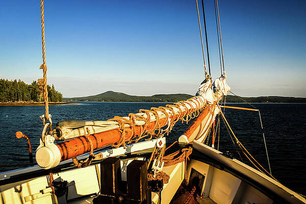Blue Wall Art featuring the photograph Ship Shape Sail by Craig A Walker