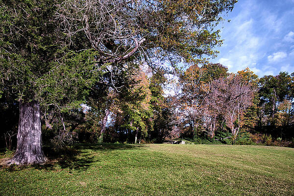 Confederate Wall Art featuring the photograph Ship To Shore Entrance by American Landscapes