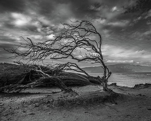 Wall Art featuring the photograph Shipwreck Beach by Michael DeGrenier