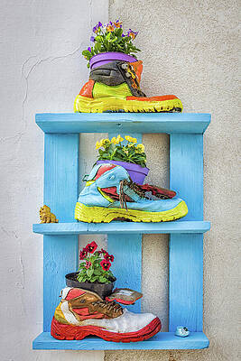 Flower Wall Art featuring the photograph Shoe Flower Pots by Elvira Peretsman