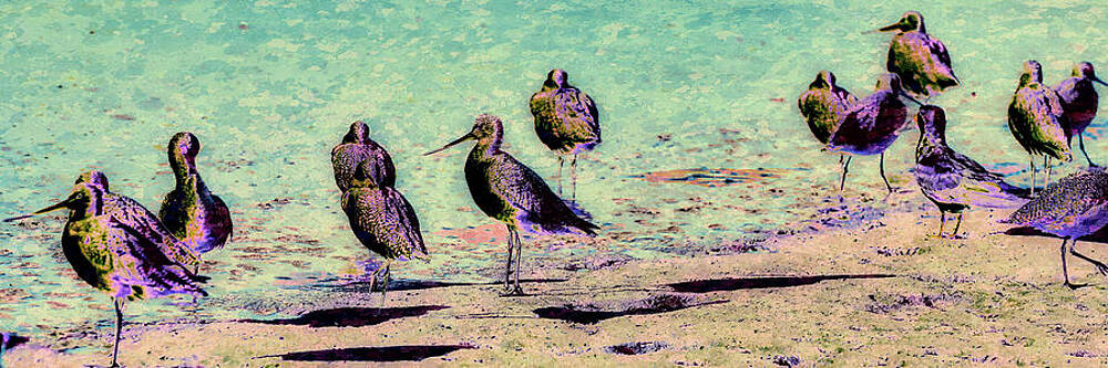 Wall Art featuring the digital art Shorebirds By The Water's Edge With Lichen Texture by Bruce Block