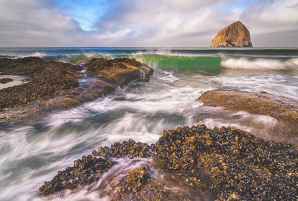 Darren White Tillamook County Oregon Coast Wall Art