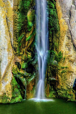 Wall Art featuring the photograph Shoshone Falls Idaho by Tommy Farnsworth