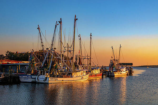 South Carolina Wall Art featuring the photograph Shrimp Boat Sunset by Douglas Wielfaert