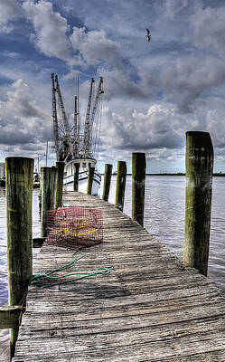 Photograph - Shrimping by Randall Dill