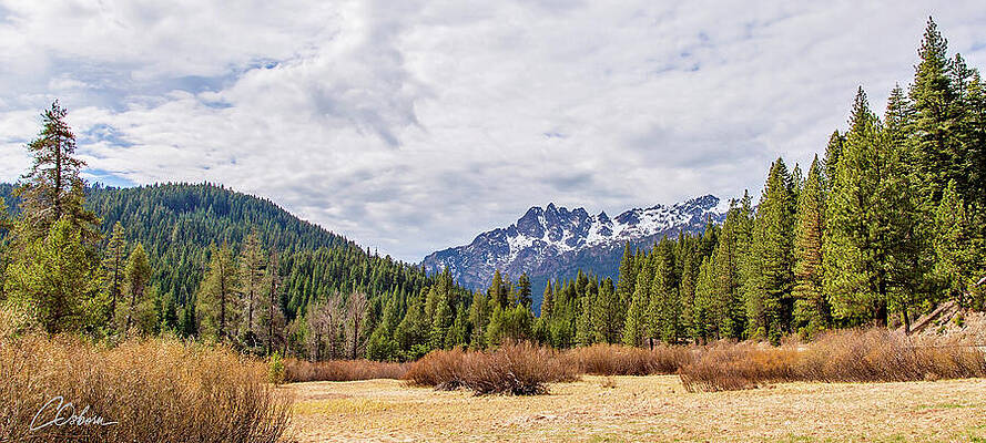 Sky Wall Art featuring the photograph Sierra Buttes by Charlie Osborn
