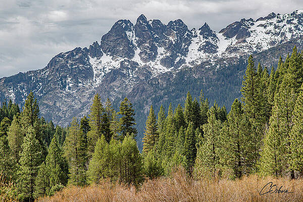 Sky Wall Art featuring the photograph Sierra Buttes Summit by Charlie Osborn