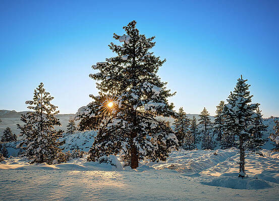 Reno Wall Art featuring the photograph Sierra Nevada Winter Sunrise by Ron Long Ltd Photography