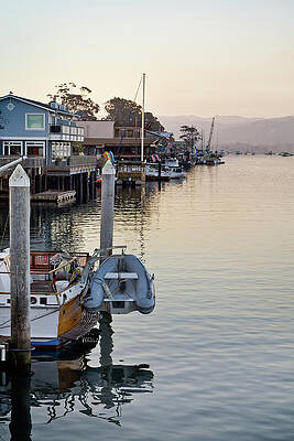 Wall Art featuring the photograph Silent Dock by Gina Cinardo