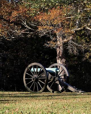 Confederate Wall Art featuring the photograph Silent Fall by American Landscapes
