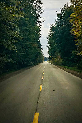 Serene Wall Art featuring the photograph Silent Pathways by Travel Essayist