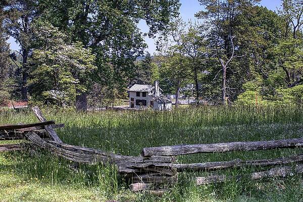 Nature Photograph - Silent Witness by American Landscapes