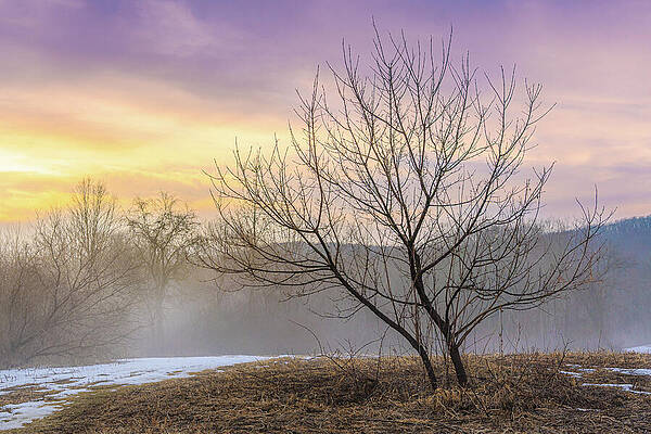 Sunset Wall Art featuring the photograph Silhouette At Sunset by Dave King