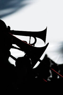 Wall Art featuring the photograph Silhouetted Brass by Bonnie Colgan