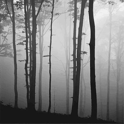 Wall Art featuring the digital art Silhouetted Trees by Printed View