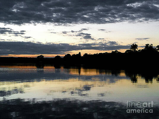 Tree Wall Art featuring the photograph Silhouettes N' Sunsets by La Dolce Vita