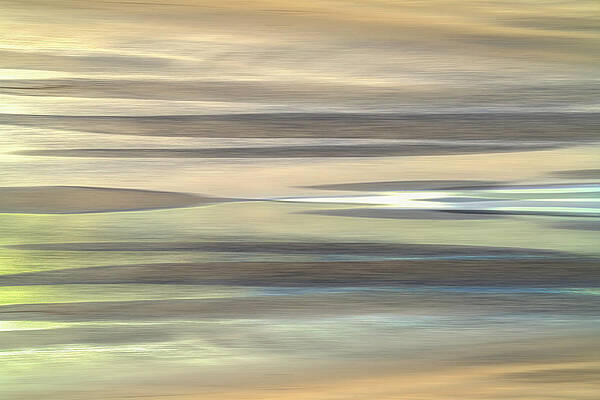 Wall Art featuring the photograph Silky Smooth by Penny Polakoff