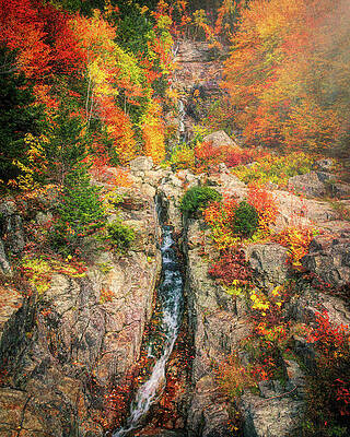 Wall Art featuring the photograph Silver Cascade Autumn In Crawford Notch by Dan Sproul